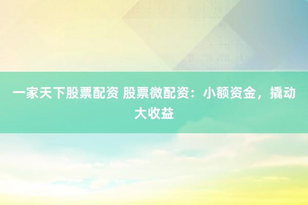 一家天下股票配资 股票微配资：小额资金，撬动大收益
